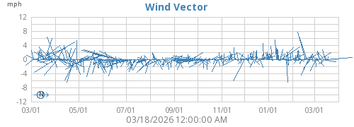 Wind Vector